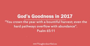 goodness2017